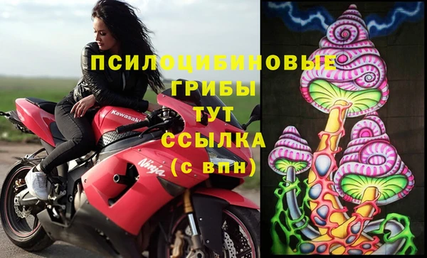 прущие грибы Алексеевка