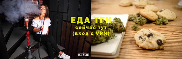мет Алексин