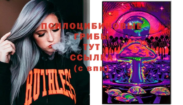 мет Алексин