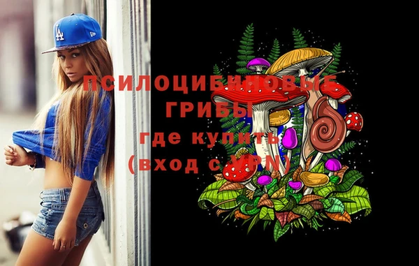 прущие грибы Алексеевка