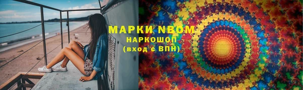прущие грибы Алексеевка