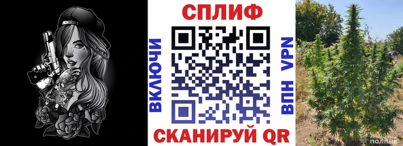 Марихуана OG Kush Брянск